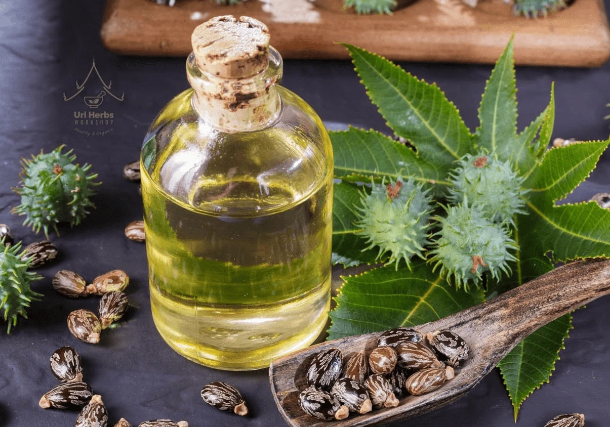 ๐ฟโจ Castor Oil: The Ancient Wonder That Solves My Medical Problems โ The Secret I Share With You