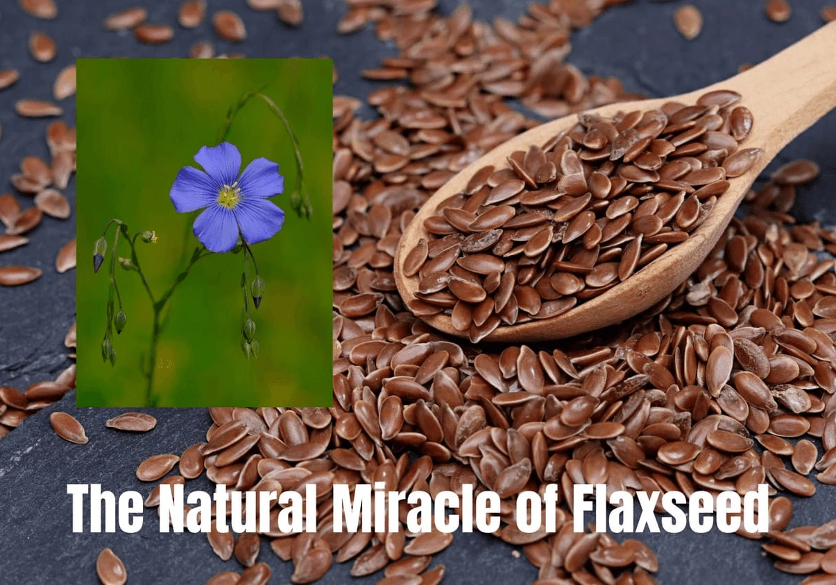 โจ The Natural Miracle of Flaxseed: Why Flaxseed Gel is the Beauty Secret You Can't Afford to Miss!