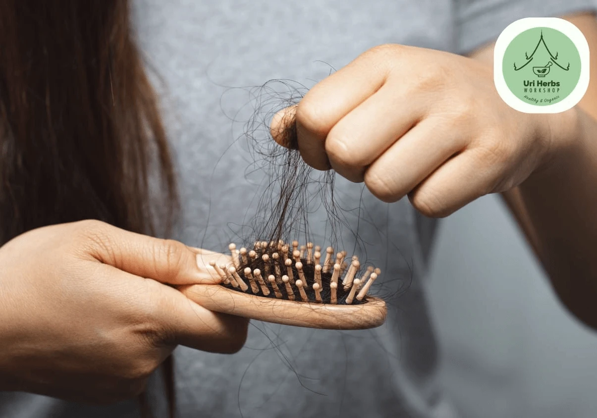 ๐ฟ Healthy Hair From the Root: A Naturopathic and Aromatherapy Approach to Preventing Hair Loss and Hair Care